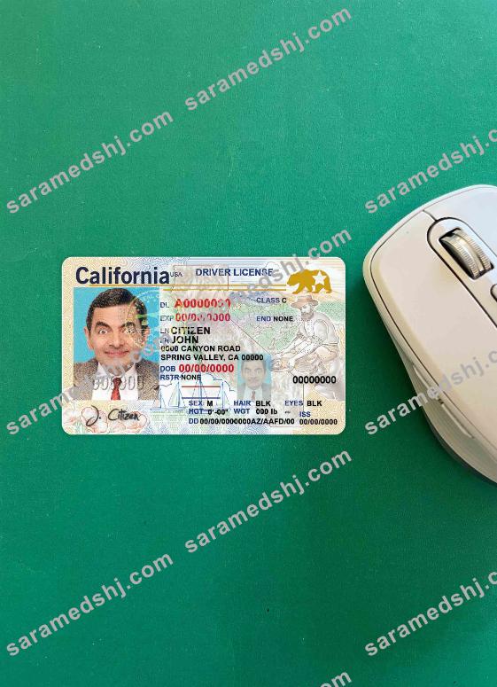USA California DL (2018, January – present) photolook FRONT